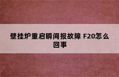 壁挂炉重启瞬间报故障 F20怎么回事